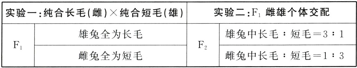 雌兔全为短毛雌兔中长毛短毛13
