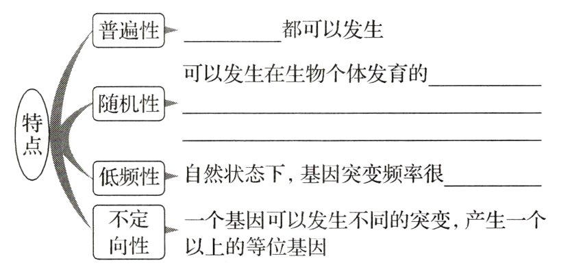 以上的等位基因