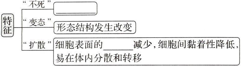 易在体内分散和转移