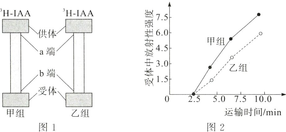 运输时间min甲组乙组图1图2