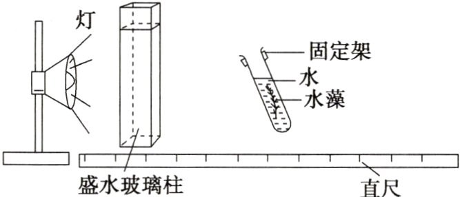 盛水玻璃柱直尺