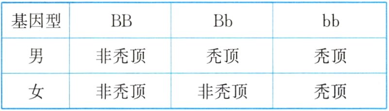 非秃顶非秃顶秃顶