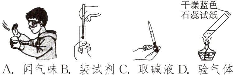 A闻气味B装试剂C取碱液D验气体