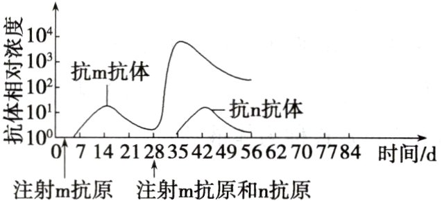 714212835424956627077844时间d注射m抗原注射m抗原和n抗原