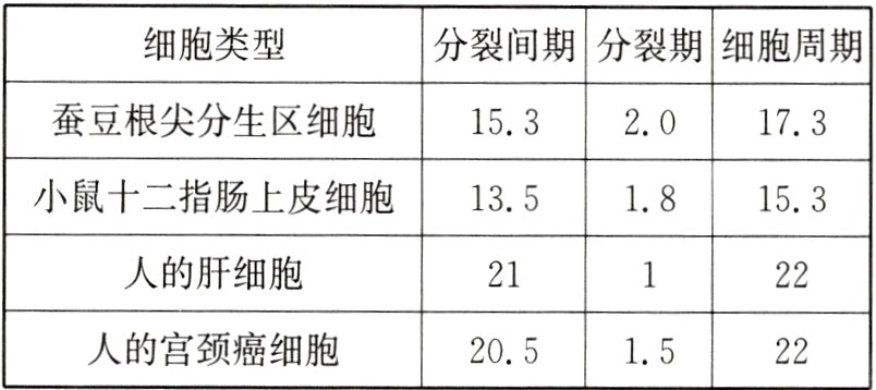 人的宫颈癌细胞2051522