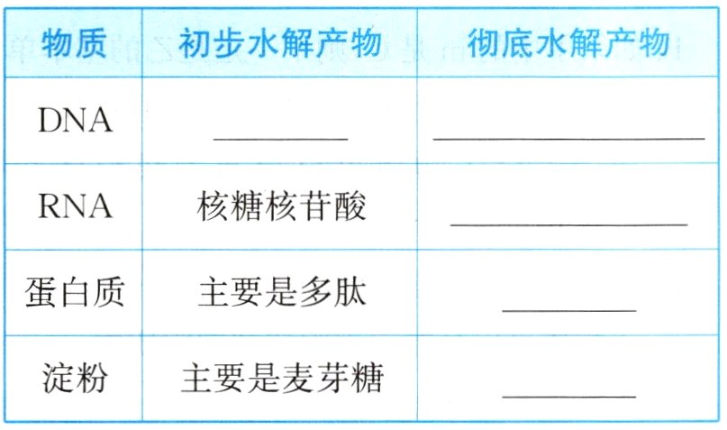 淀粉主要是麦芽糖