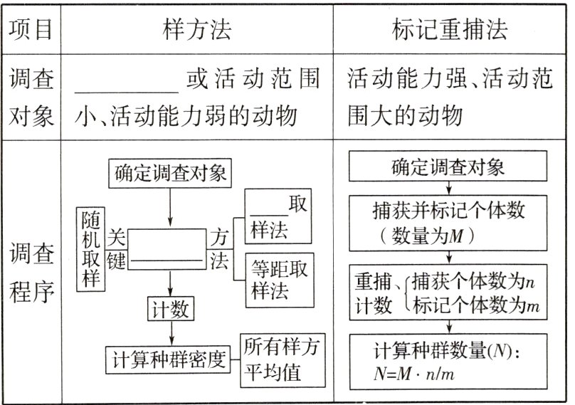所有样方计算种群数量N计算种群密度