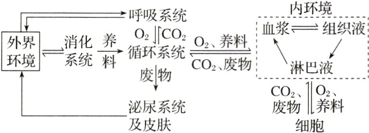 废物泌尿系统及皮肤细胞