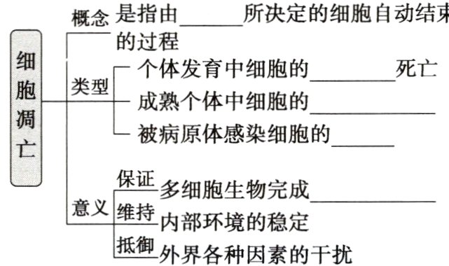 抵御外界各种因素的干扰