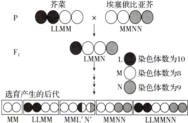 8j88d888888MMLLMMMMLNMMNNLLMMNN