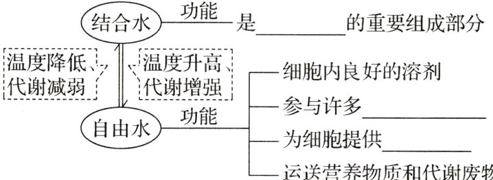 为细胞提供运送营养物质和代谢废物