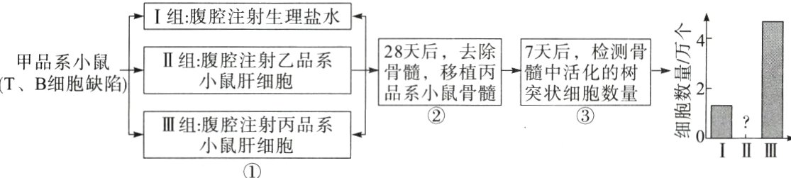 小鼠肝细胞IIIII