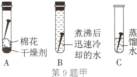 A干燥剂B却的水C第9题甲