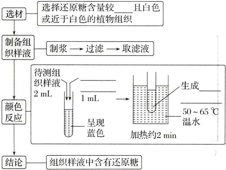 结论组织样液中含有还原糖