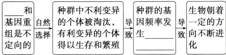 得以生存和繁殖定向的