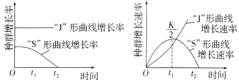 0t0tt2时间t2时间