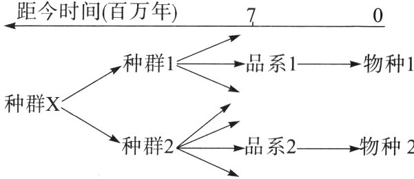 种群2品系2物种2