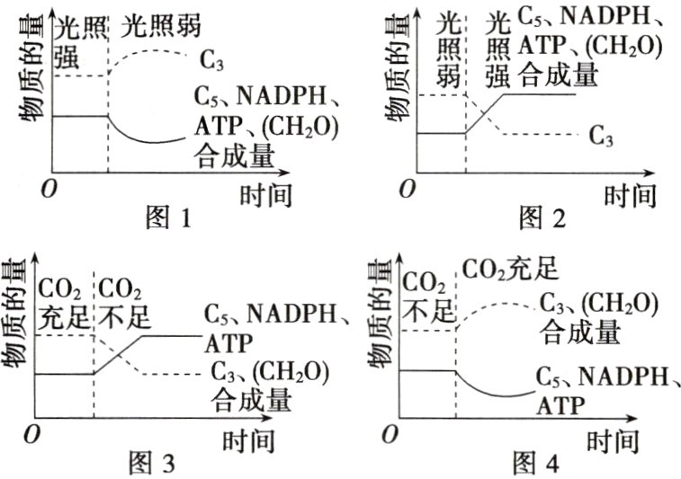 时间时间图3图4