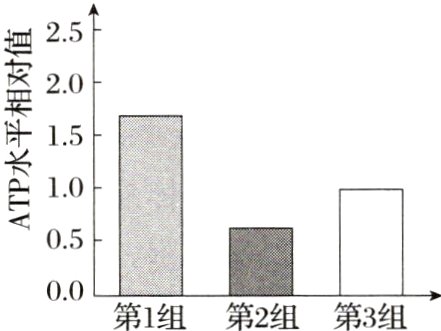 00第1组第2组第3组