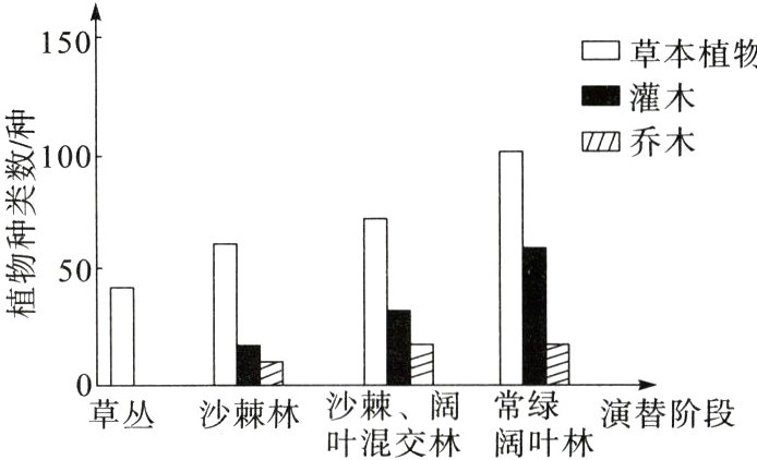 沙棘阔常绿草丛沙棘林演替阶段叶混交林阔叶林