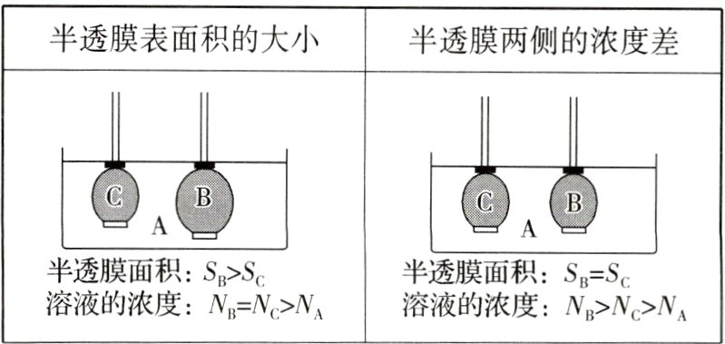 溶液的浓度溶液的浓度NNNANBNcN