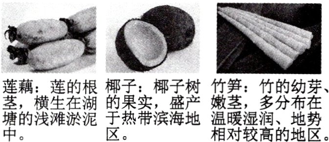 塘的浅滩淤泥于热带滨海地翳的地区