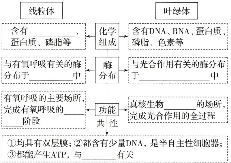 都能产生ATP与有关