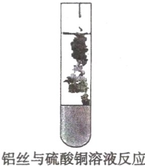 铝丝与硫酸铜溶液反应