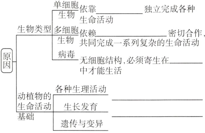 基础遗传与变异