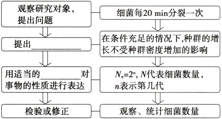 检验或修正观察统计细菌数量