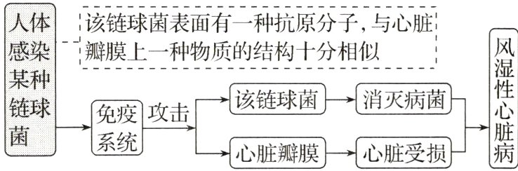 心脏瓣膜心脏受损病