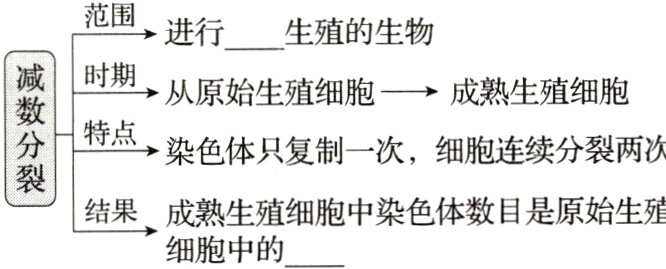 结果成熟生殖细胞中染色体数目是原始生殖细胞中的
