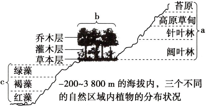 的自然区域内植物的分布状况红藻