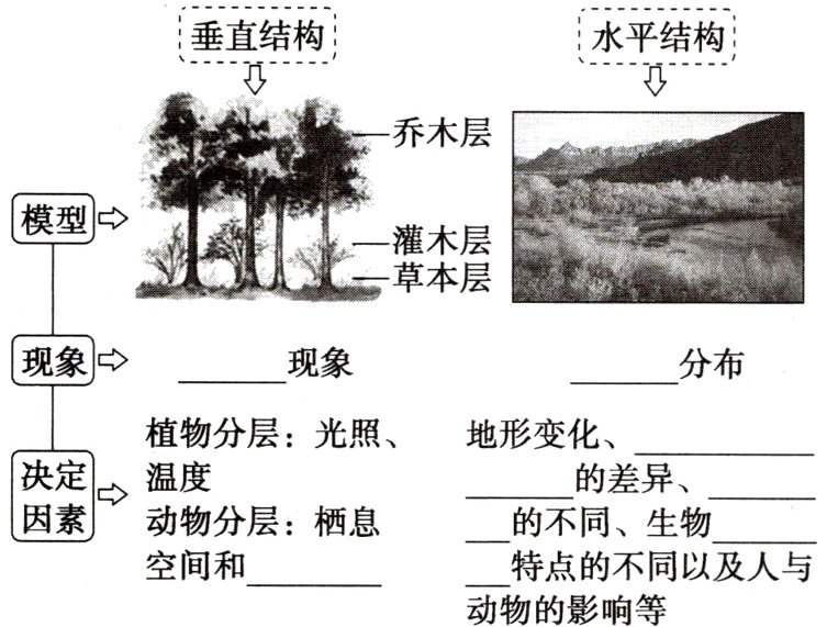 特点的不同以及人与空间和动物的影响等
