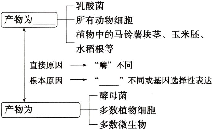 产物为多数植物细胞多数微生物