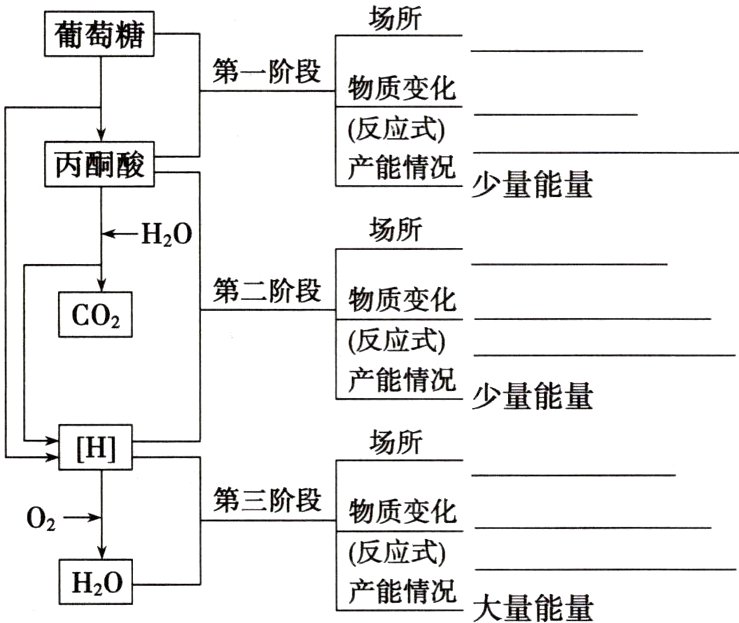 H20产能情况大量能量