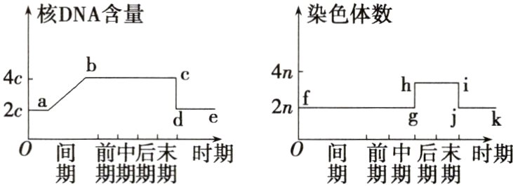 前末时期期前局时期