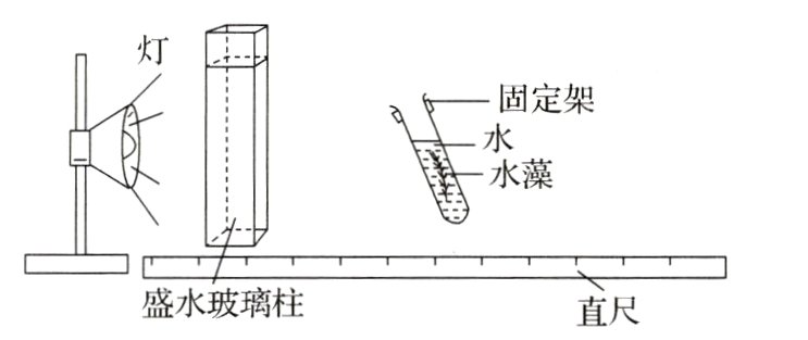 二盛水玻璃柱直尺