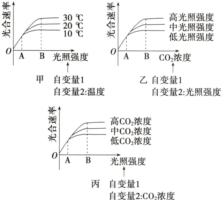 丙自变量1自变量2CO浓度