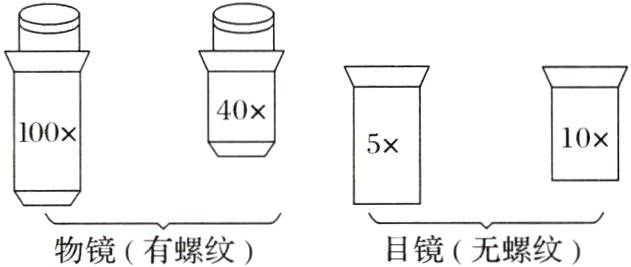 物镜有螺纹目镜无螺纹