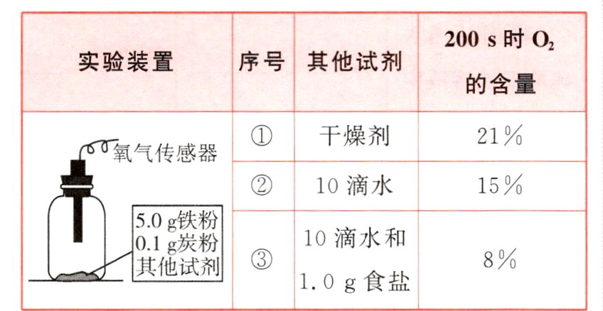 其他试剂10g食盐
