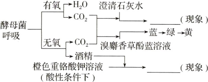 现象酸性条件下