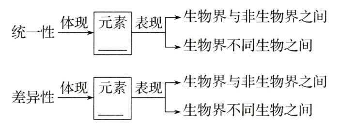 生物界不同生物之间