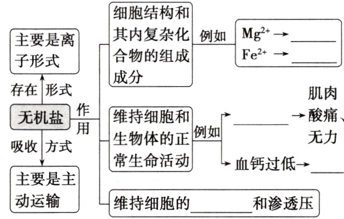 动运输维持细胞的和渗透压