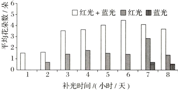 补光时间小时天