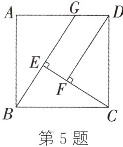 第5题