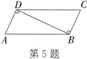第5题