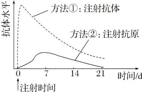 1421时间d注射时间