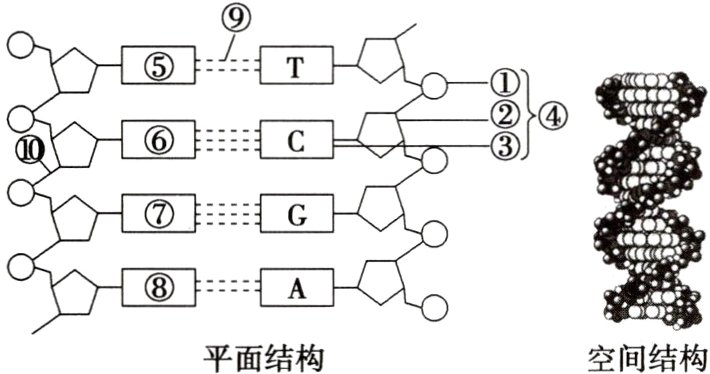 平面结构空间结构