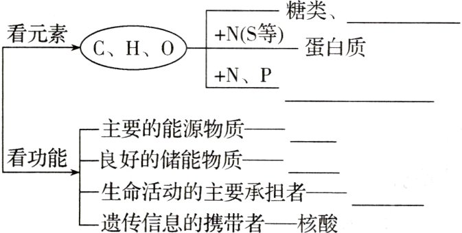 生命活动的主要承担者遗传信息的携带者核酸